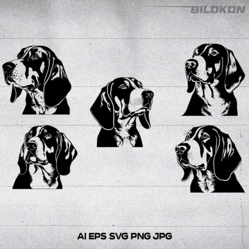 COONHOUND dog head, SVG, Vector, Illustration, SVG Bundle cover image.
