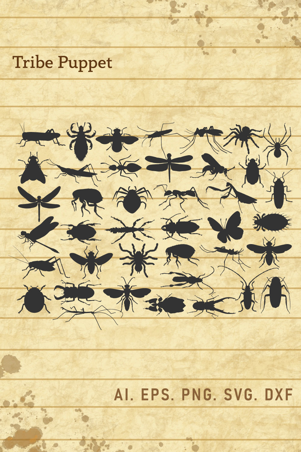 Insects Bundle pinterest preview image.