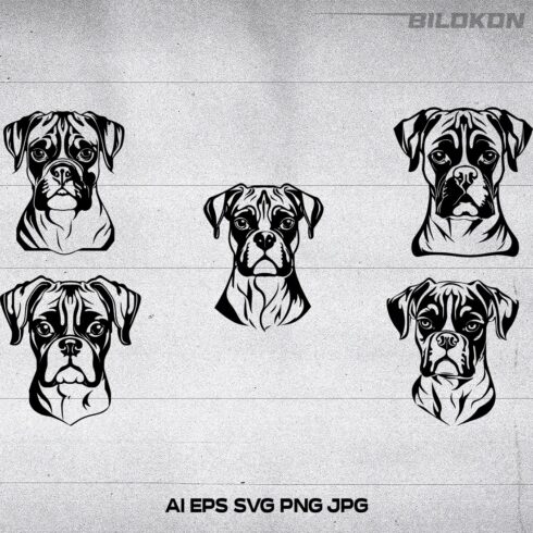 Boxer dog dog head, SVG, Vector, Illustration, SVG Bundle cover image.