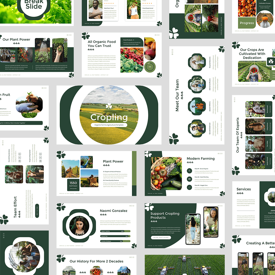 Cropling - Organic Farm & Agriculture PowerPoint Template preview image.