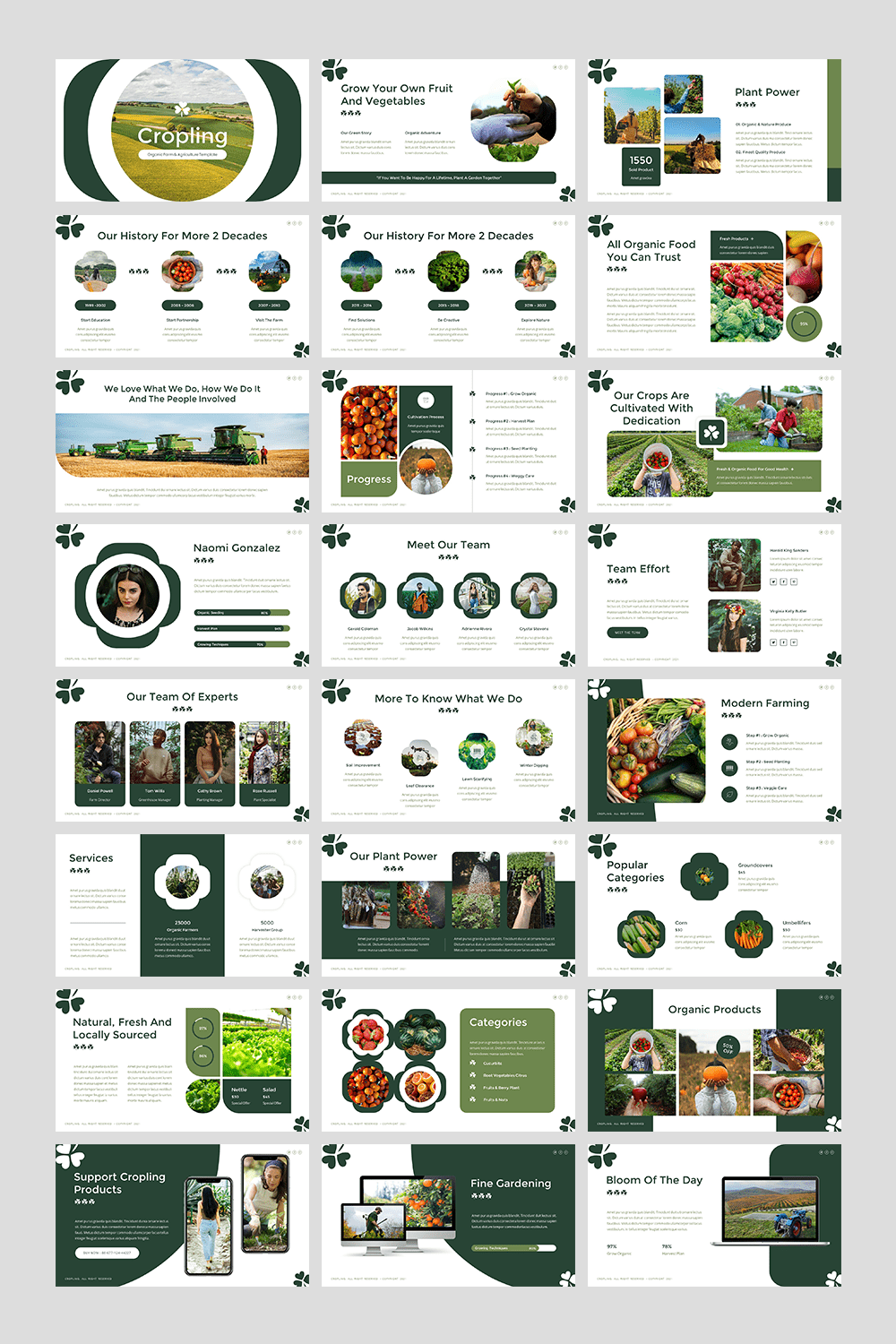 Cropling - Organic Farm & Agriculture Google Slides Template pinterest preview image.