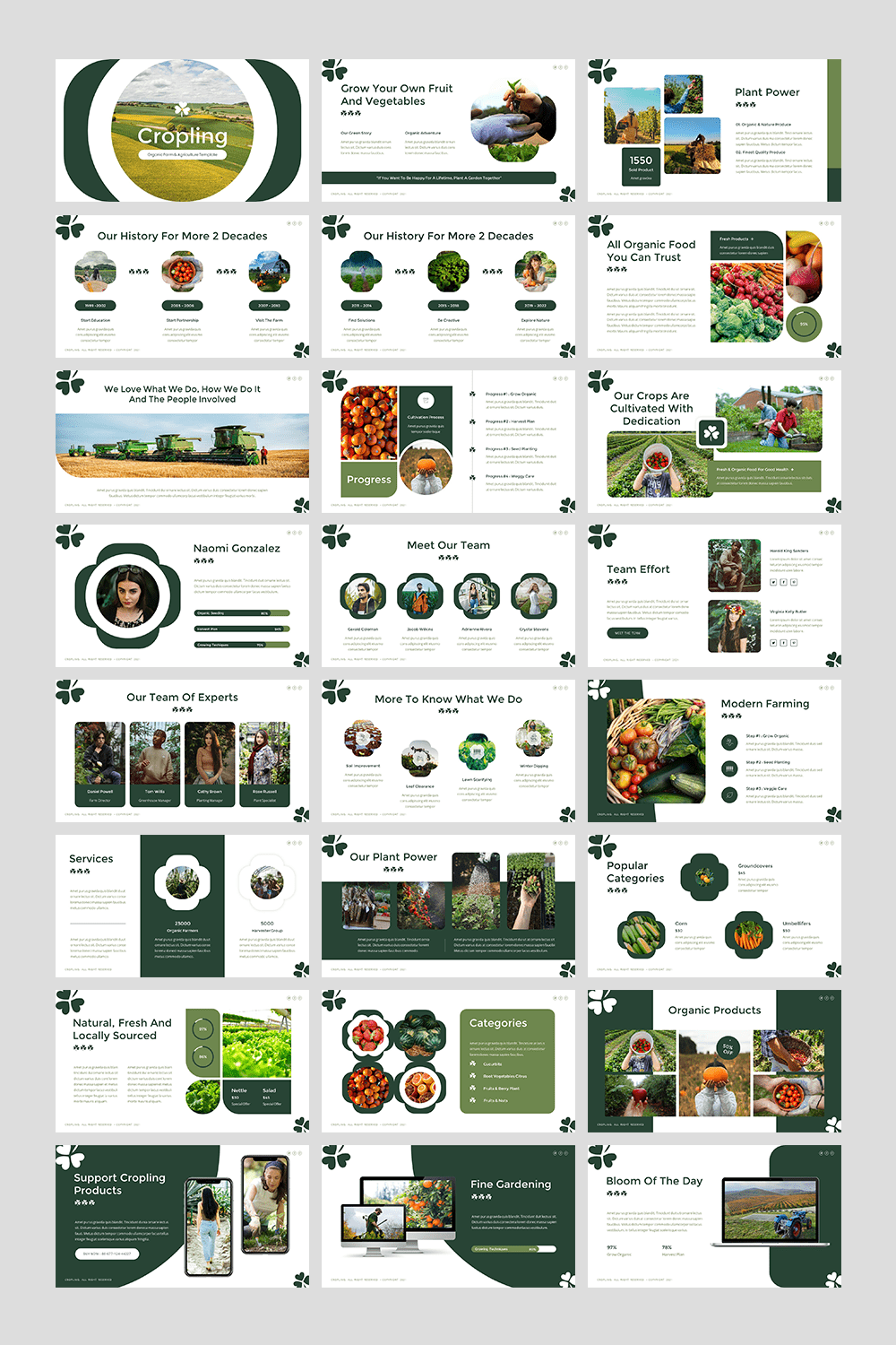 Cropling - Organic Farm & Agriculture PowerPoint Template pinterest preview image.