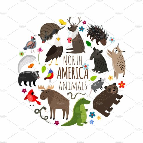 Cartoon animals of America banner cover image.