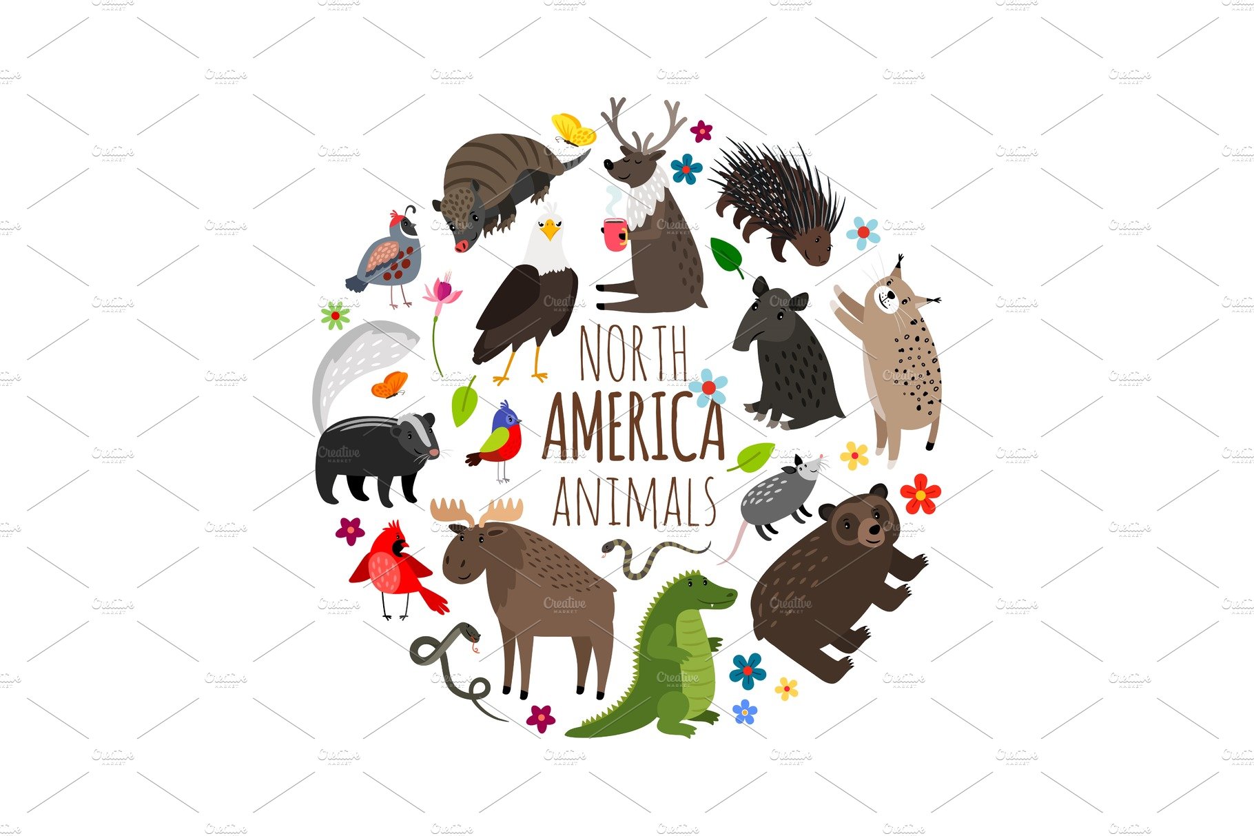 Cartoon animals of America banner cover image.