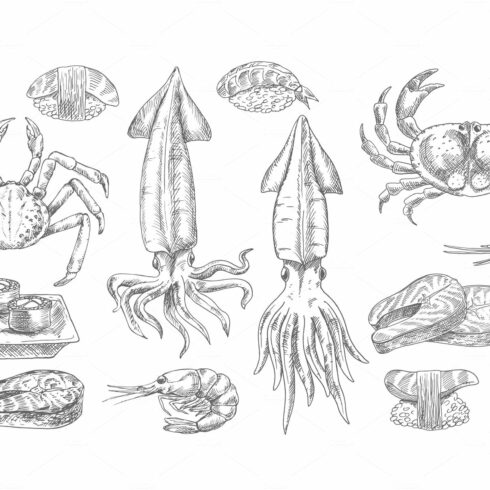 Seafood, sketched fish and sushi cover image.