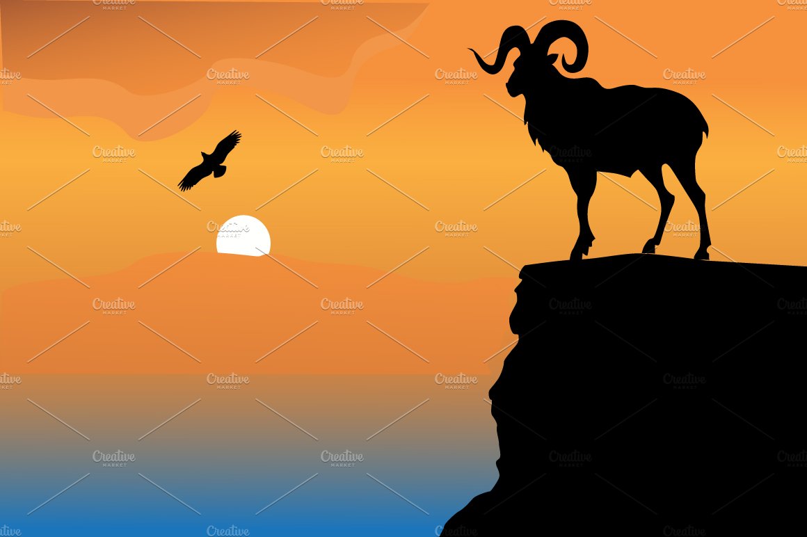 Mountain goat on a rock cover image.