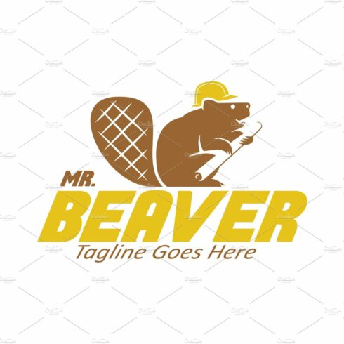 Mr. Beaver cover image.