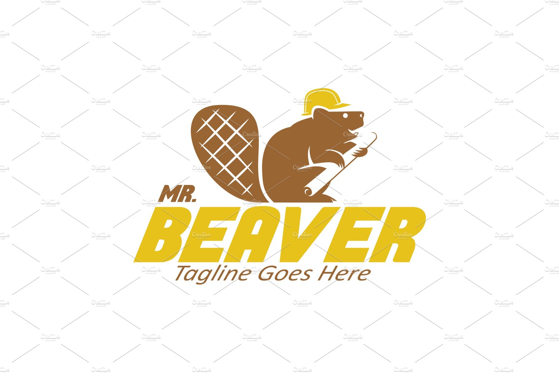 Mr. Beaver cover image.