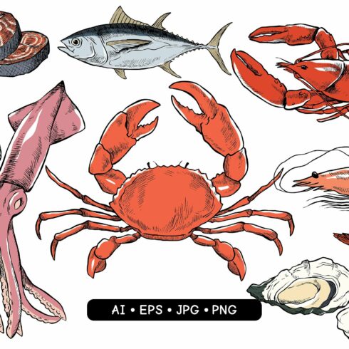 Hand Drawn Seafood cover image.