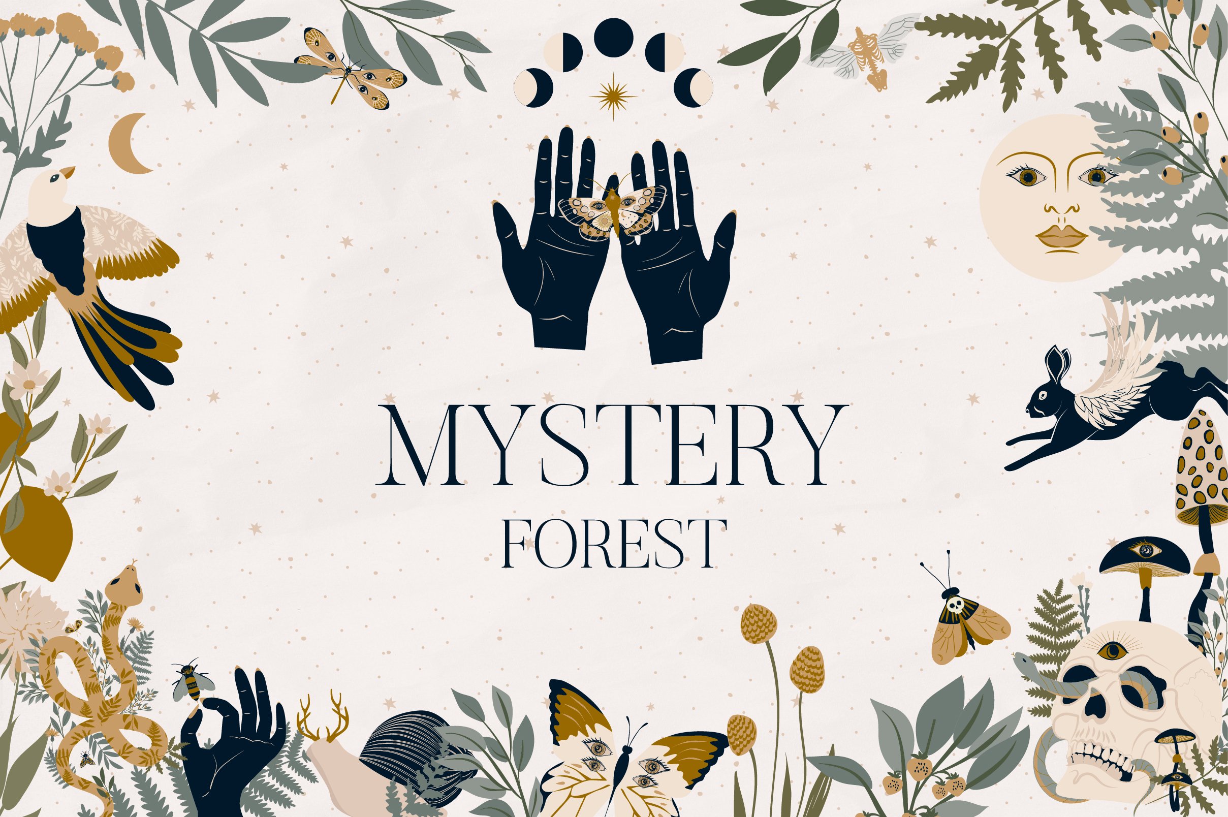 Mystery Forest cover image.