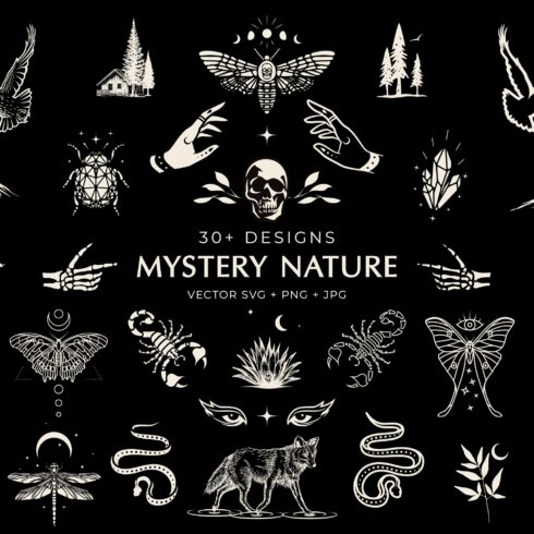 Mystery Nature vector clip art. cover image.