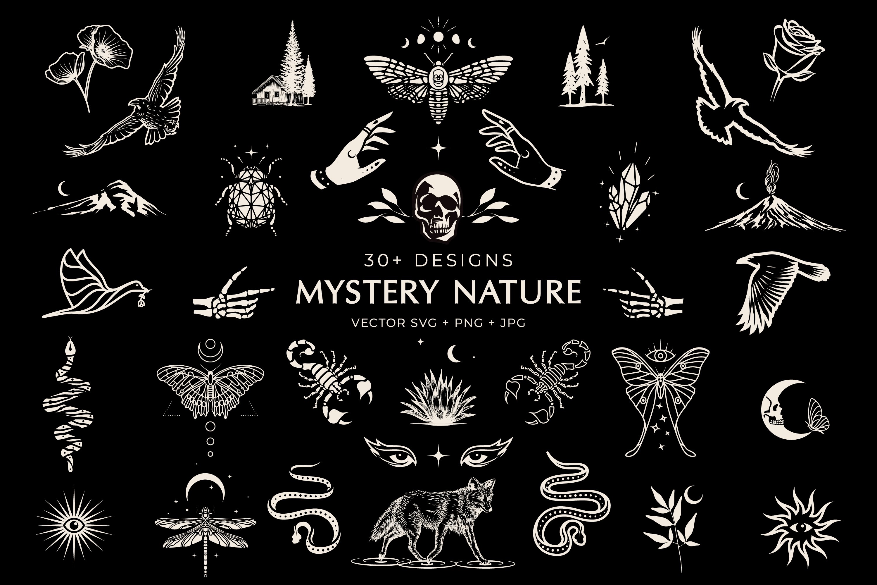 Mystery Nature vector clip art. cover image.