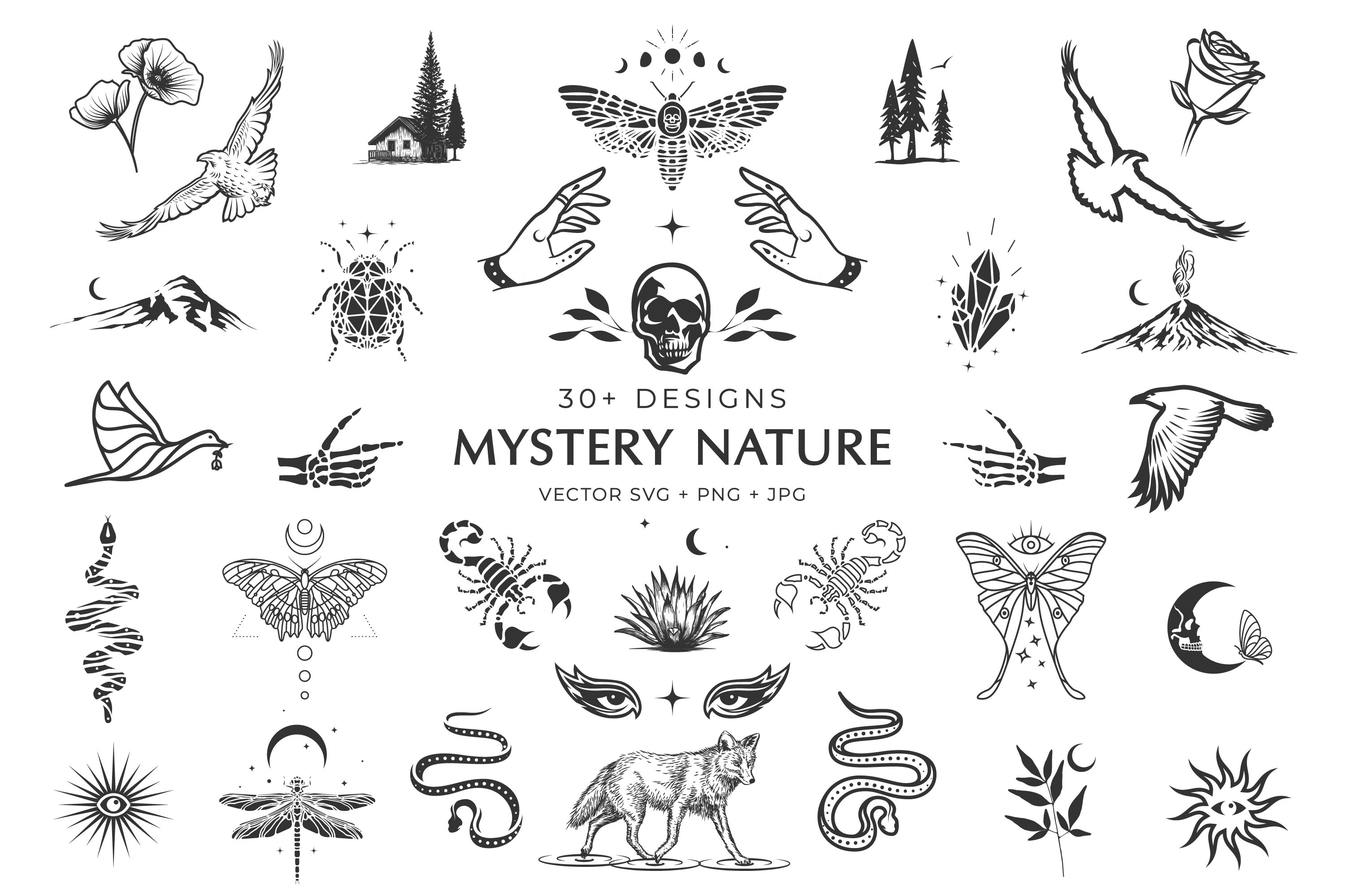 Mystery Nature vector clip art. preview image.