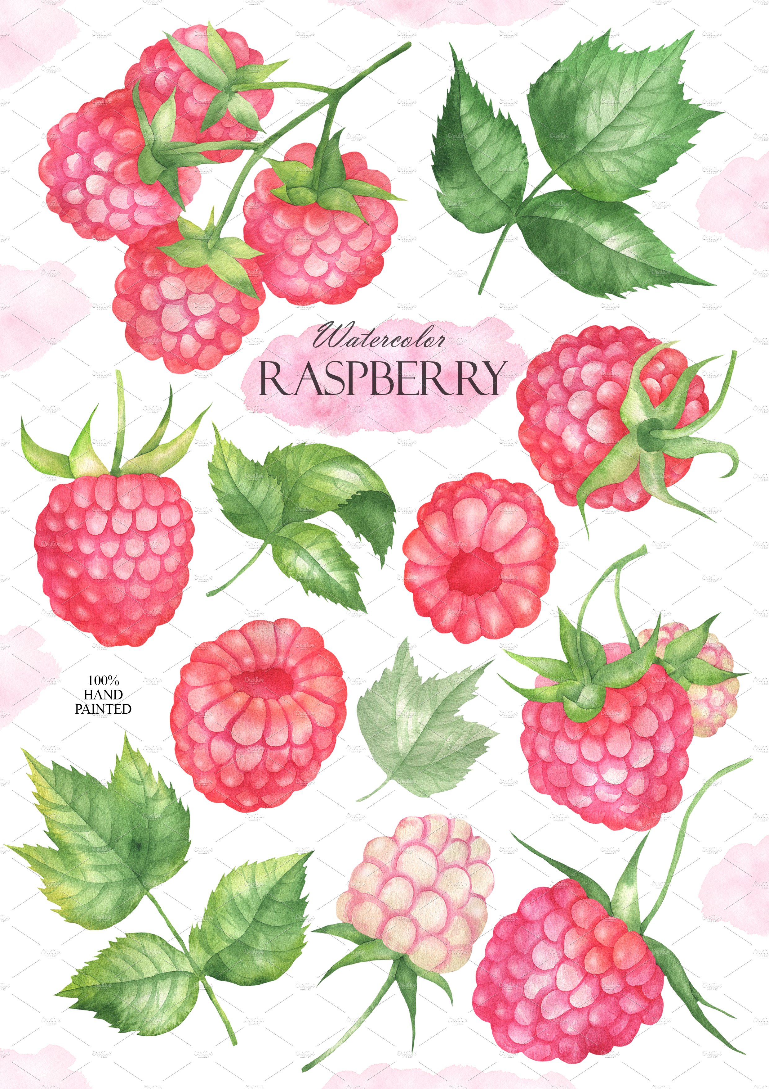 Watercolor Raspberry preview image.