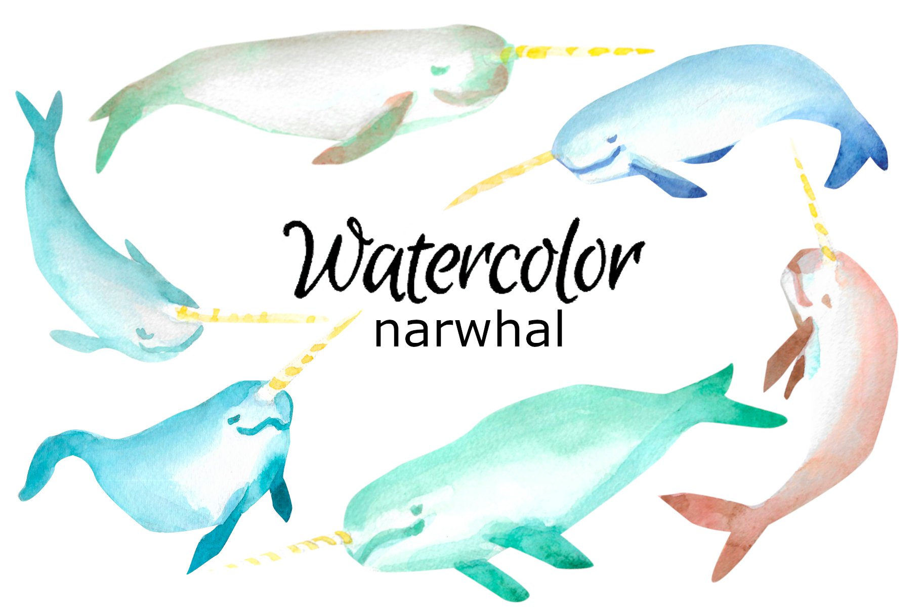Watercolor narwhal clipart cover image.