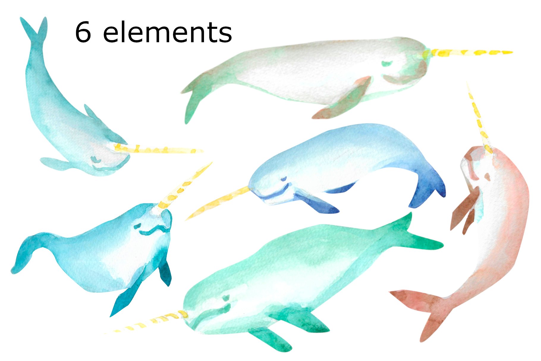 Watercolor narwhal clipart preview image.
