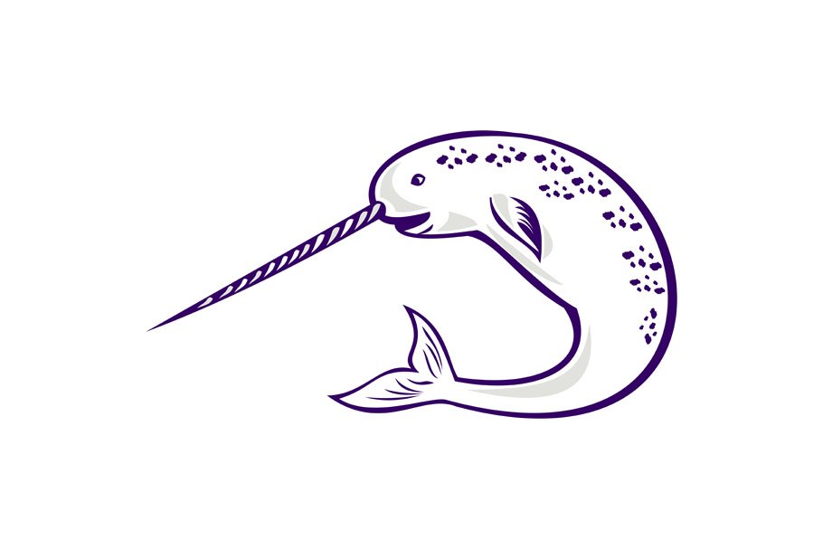 Narwhal Monodon monoceros unicorn cover image.