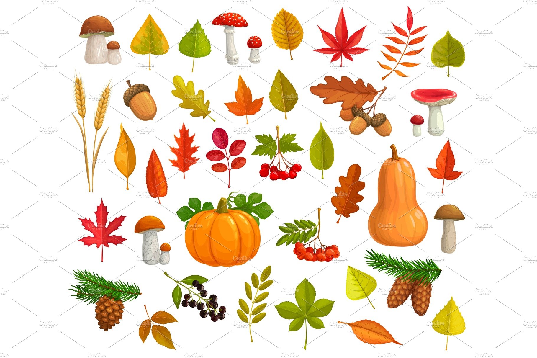 Autumn cartoon vector icons cover image.