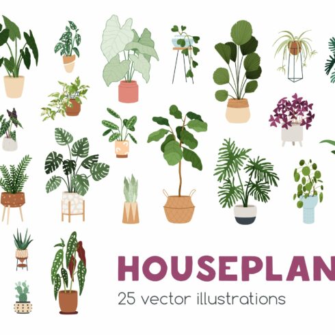 Trendy house plants in pots set cover image.