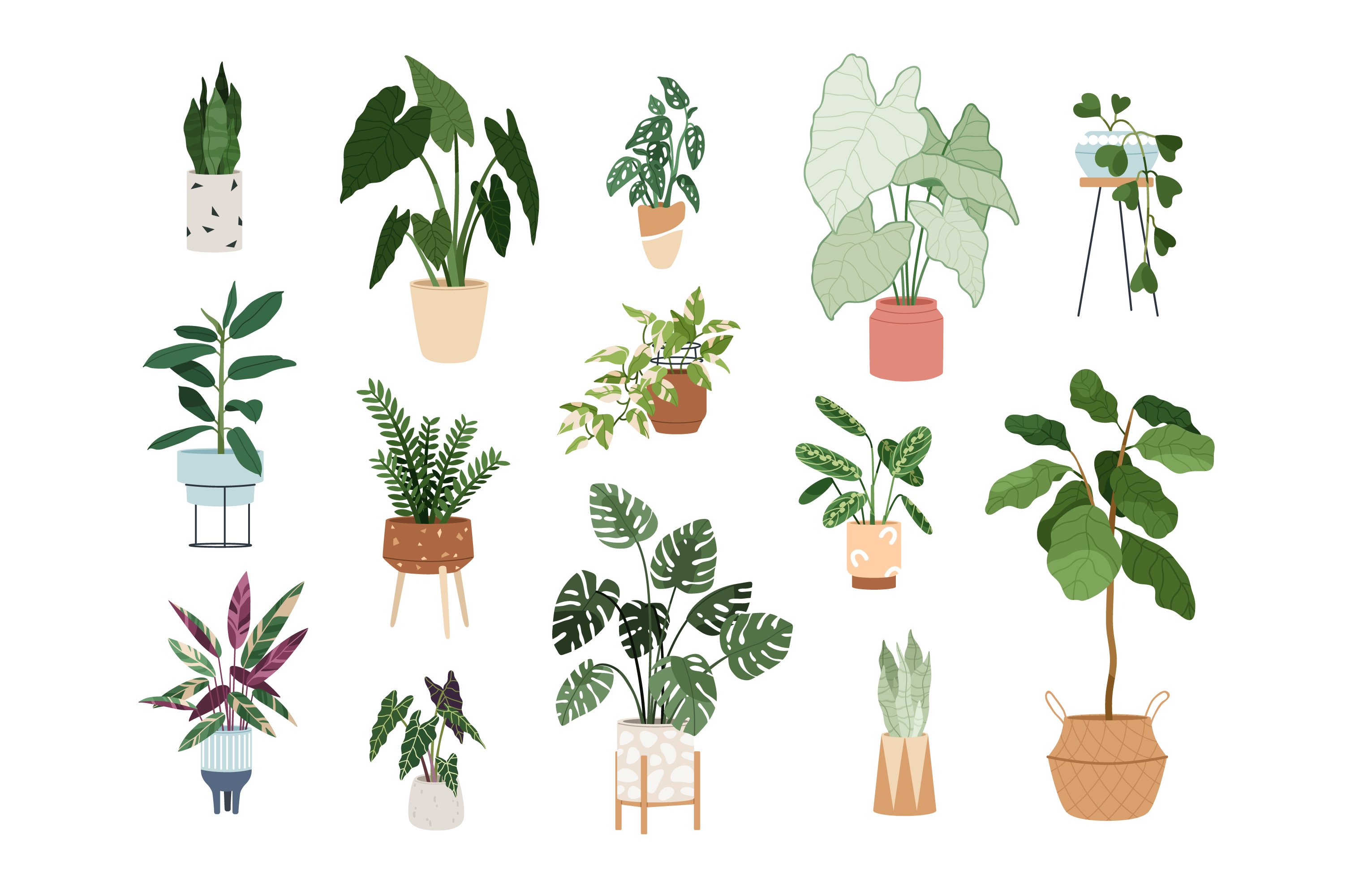 Trendy house plants in pots set preview image.