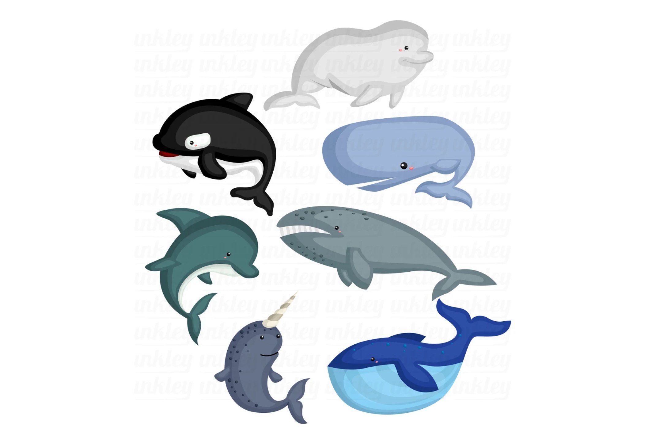 Whale Breeds Clipart - Cute Whale preview image.