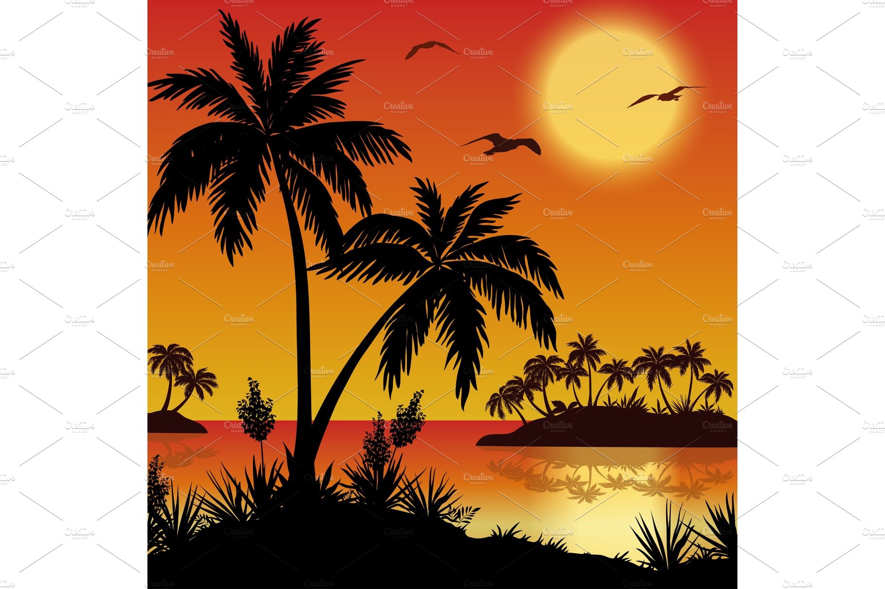 Tropical islands, palms, flowers and cover image.