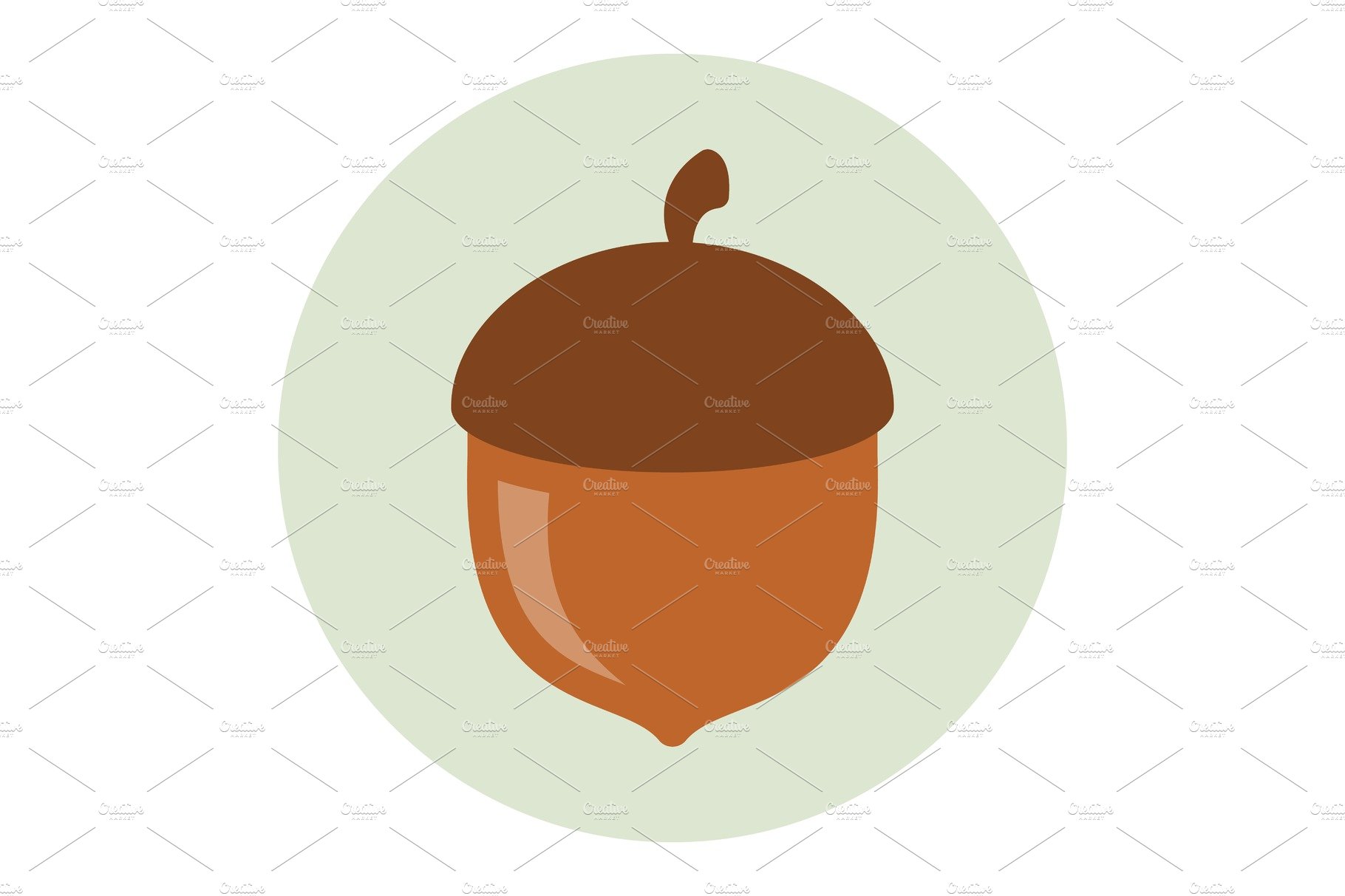 Acorn icon flat cover image.