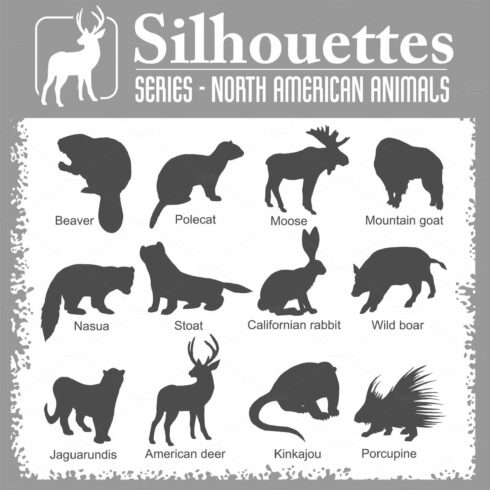 Silhouettes - North American animals cover image.