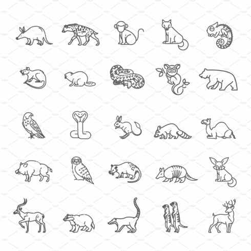 Vector forest and desert animals cover image.