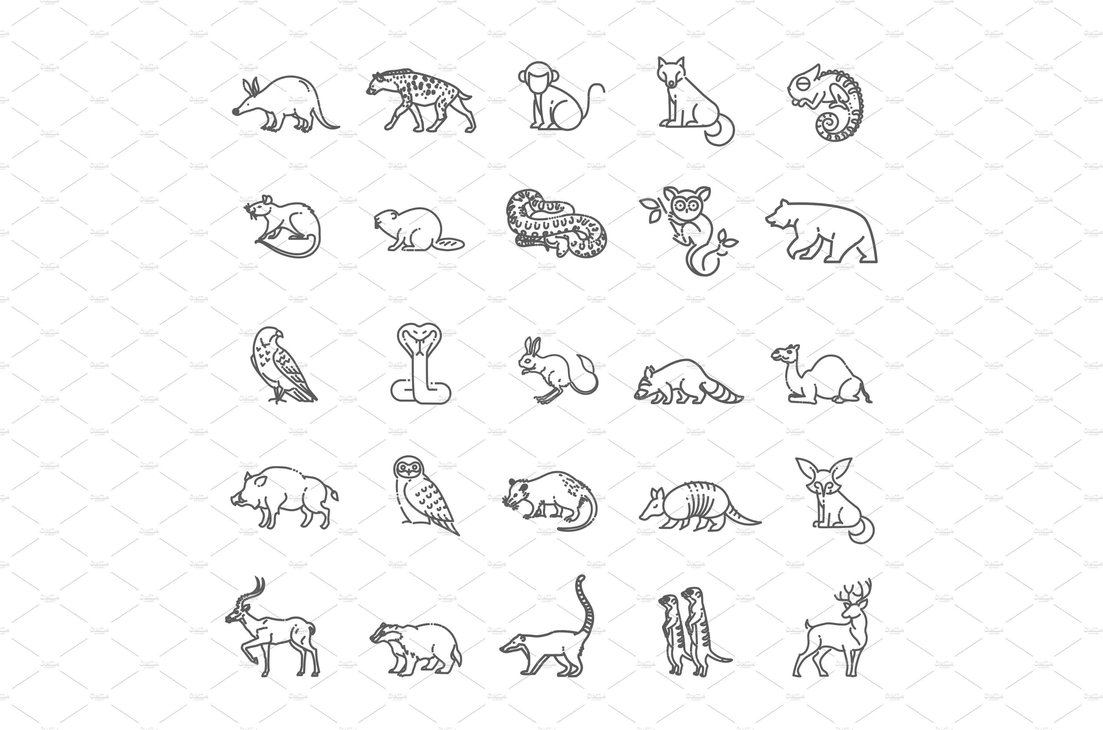 Vector forest and desert animals cover image.