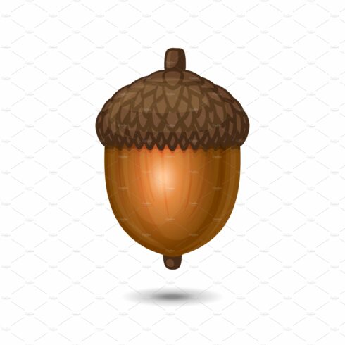 Acorn Nut Icon on White Background cover image.