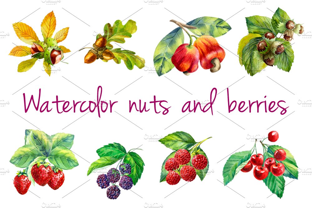 Watercolor nuts and berries cover image.