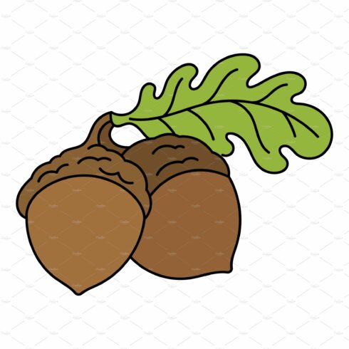 The acorn, or oaknut. Vector cover image.