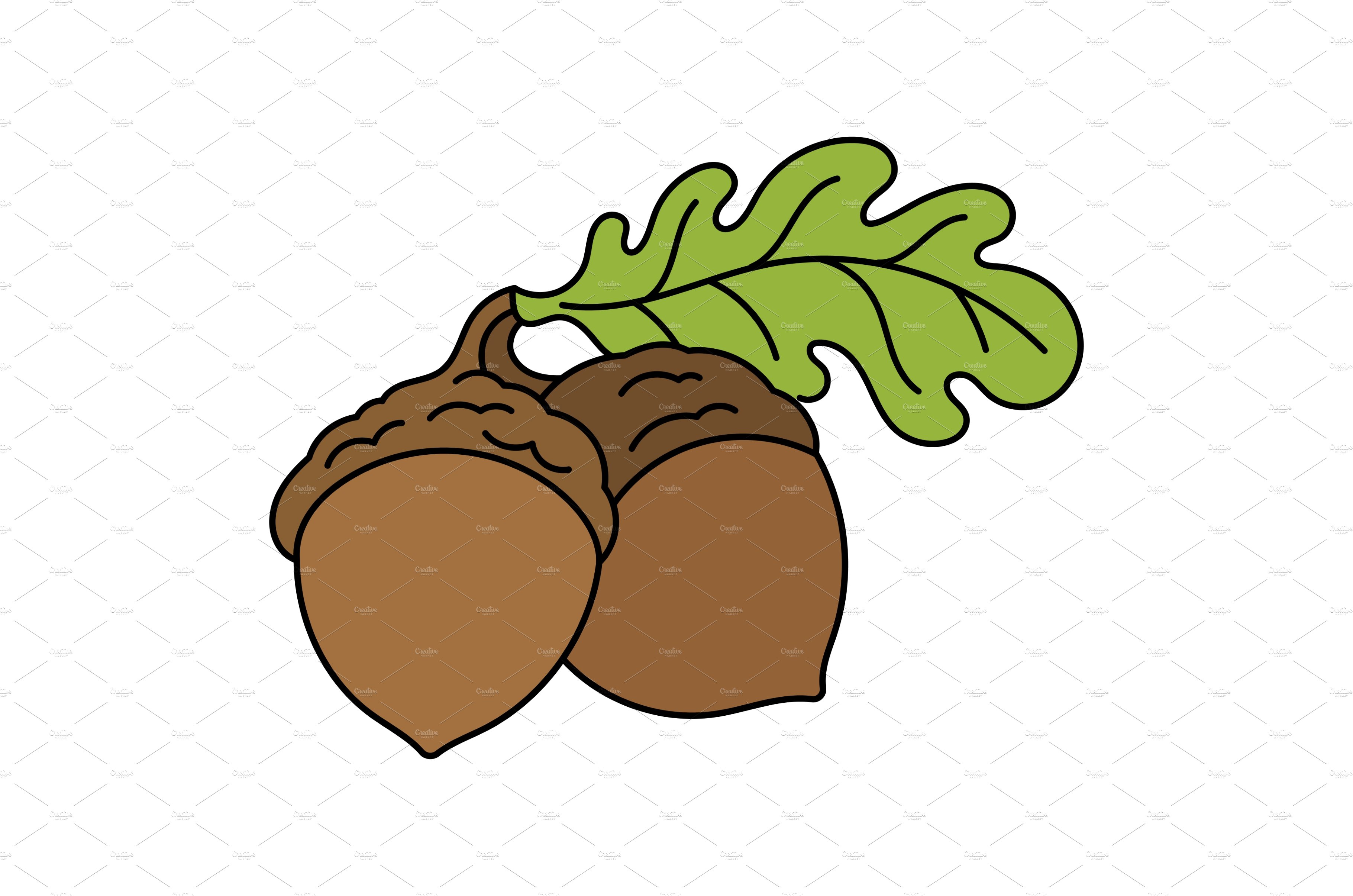 The acorn, or oaknut. Vector cover image.