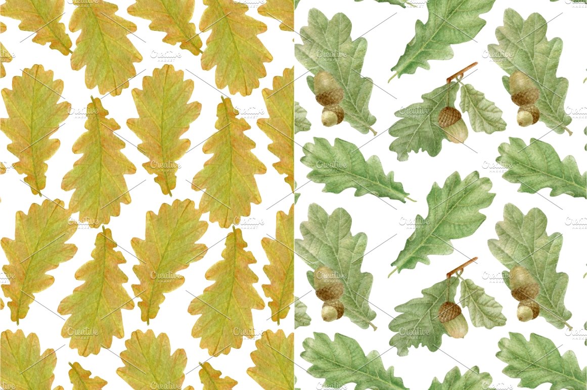 oak leaves screenshot 02 246