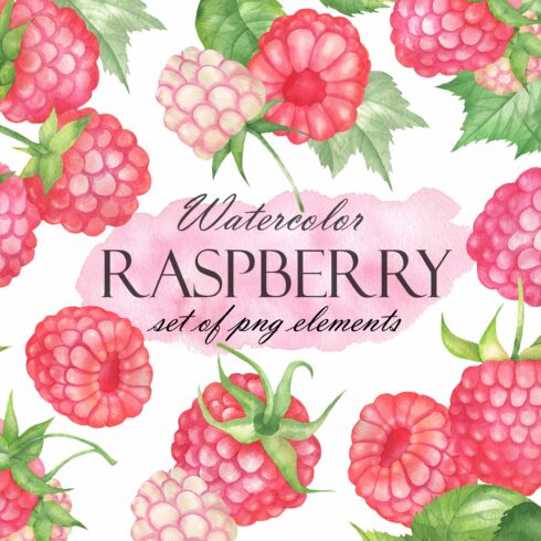 Watercolor Raspberry cover image.