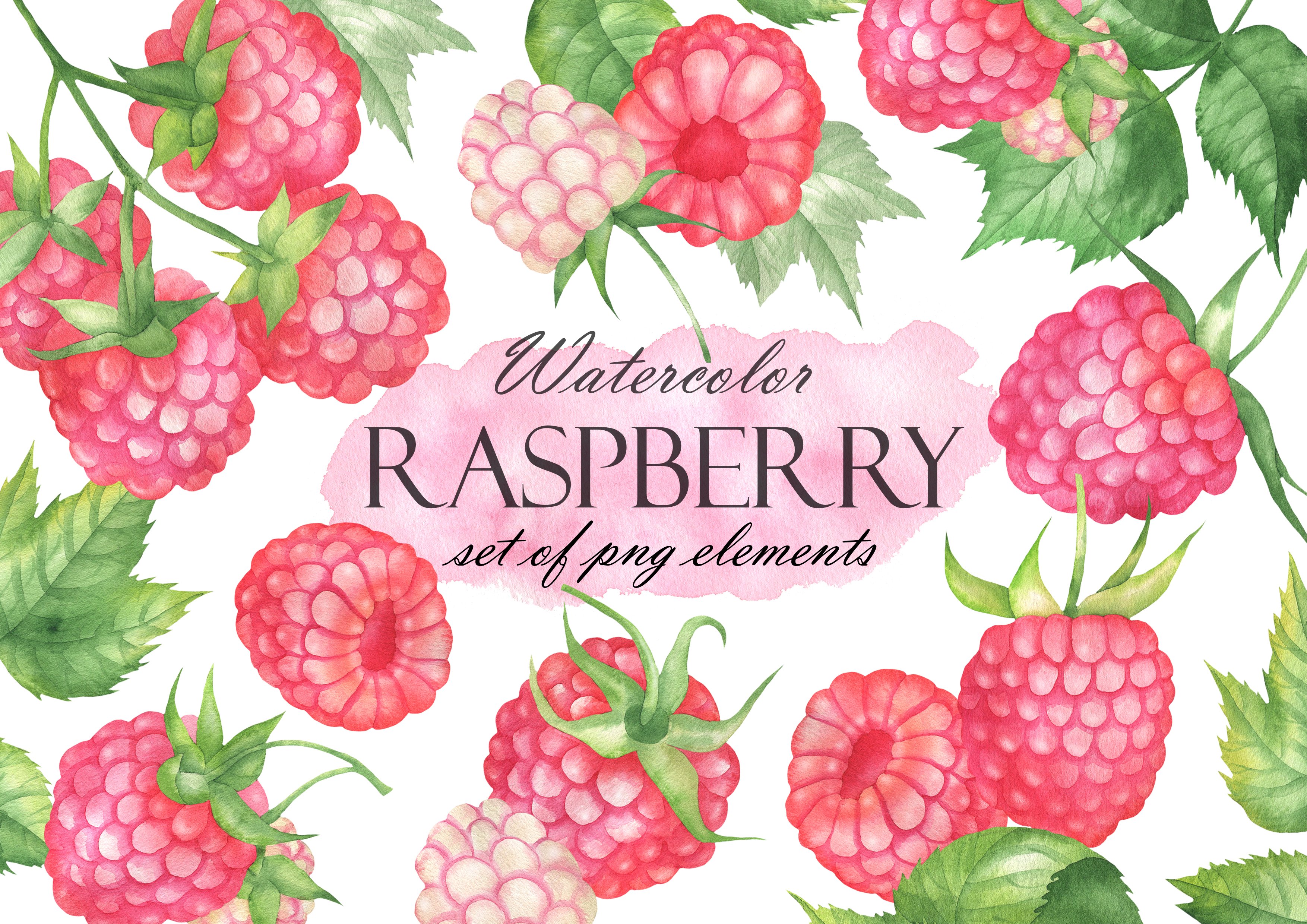Watercolor Raspberry cover image.