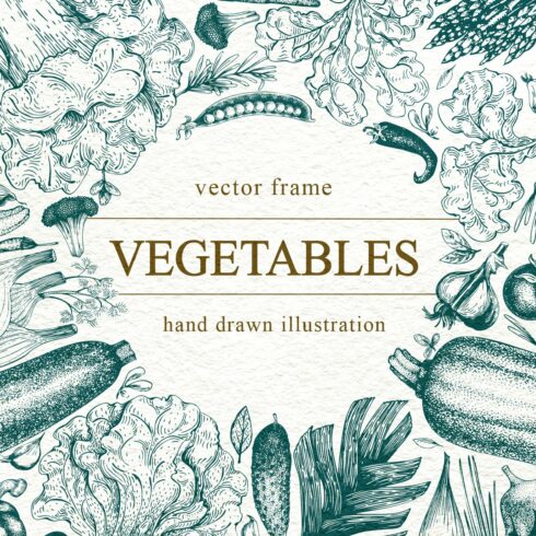 Vegetable Vector Frame cover image.