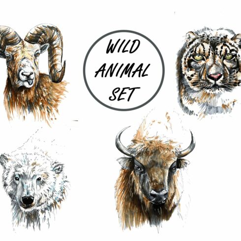 Wild animal png set cover image.