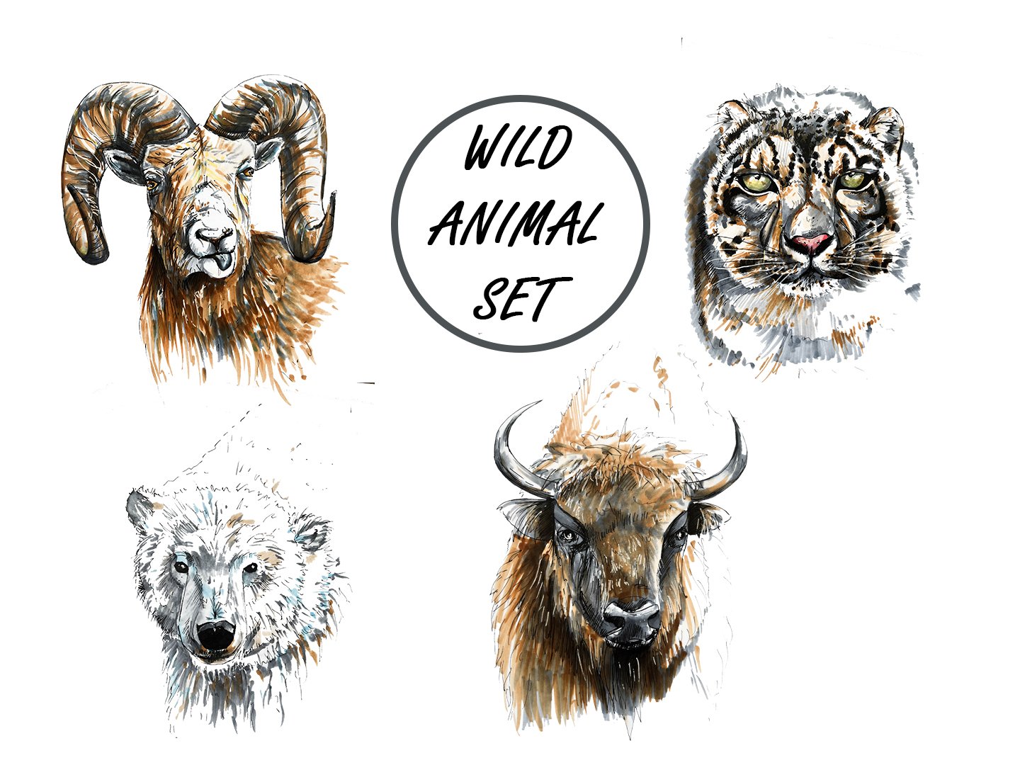 Wild animal png set cover image.