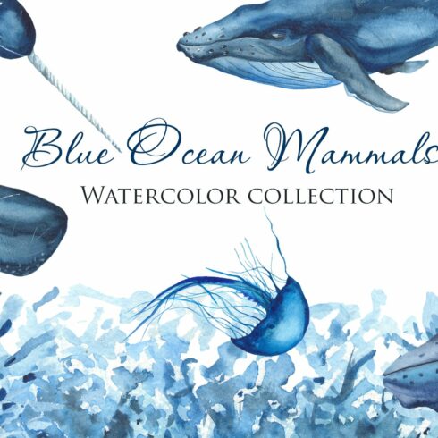 Blue Ocean Mammals. Watercolor. cover image.