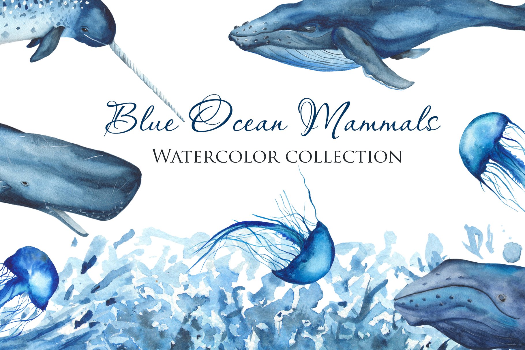 Blue Ocean Mammals. Watercolor. cover image.