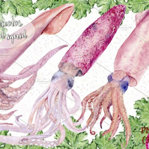 seafood squid watercolor cover image.