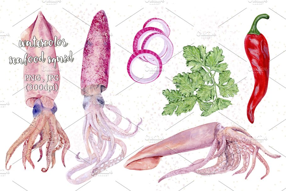 seafood squid watercolor preview image.