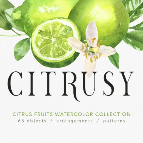 Citrusy Fruits watercolor collection cover image.