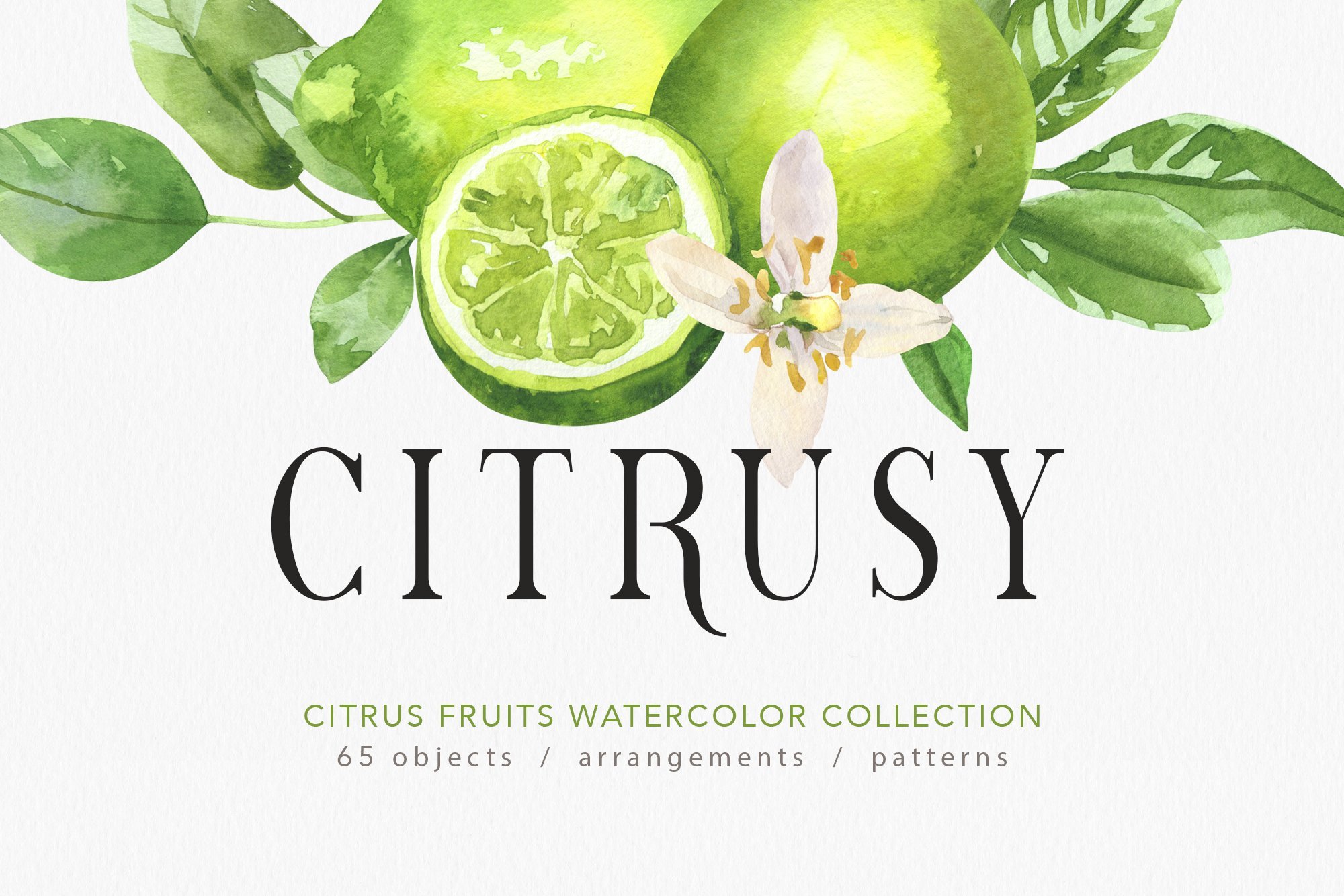 Citrusy Fruits watercolor collection cover image.