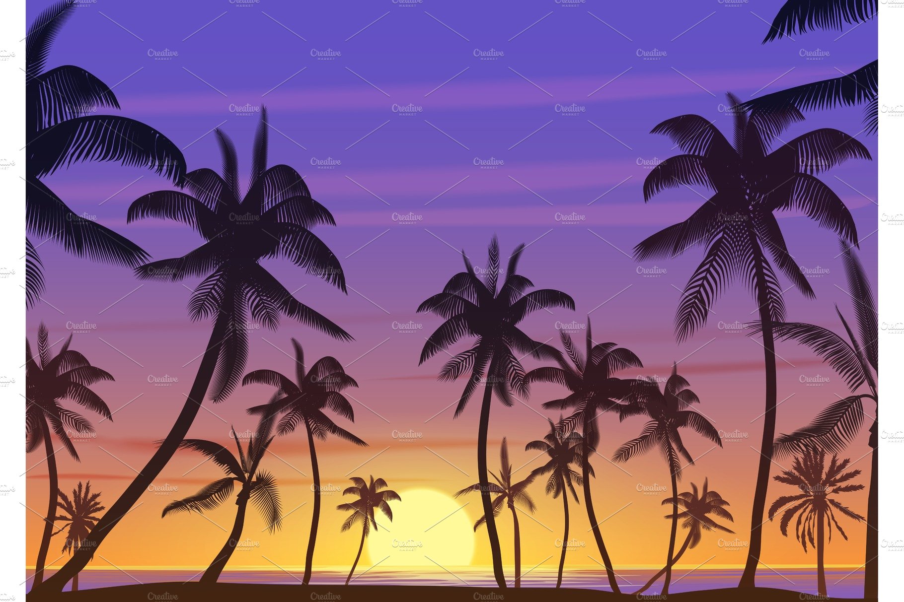 Palm coconut trees sunset landscape cover image.