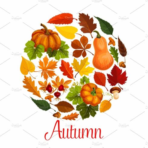 Fall season poster of autumn leaf and pumpkin cover image.