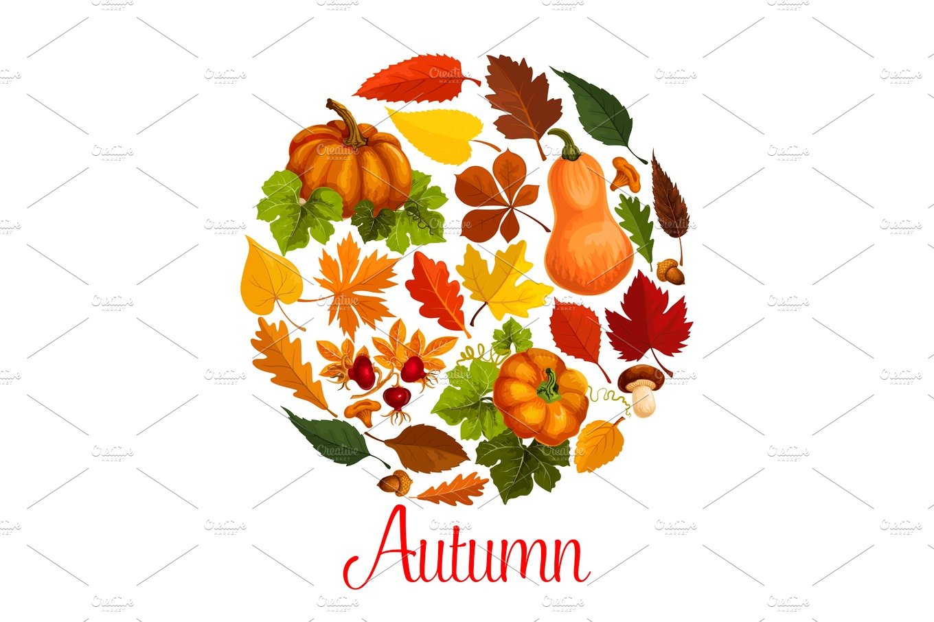 Fall season poster of autumn leaf and pumpkin cover image.