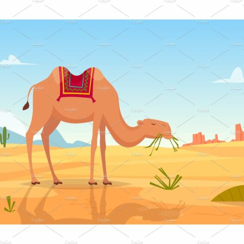 Desert background. African landscape cover image.